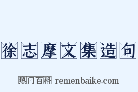 徐志摩文集造句是什么意思的图片